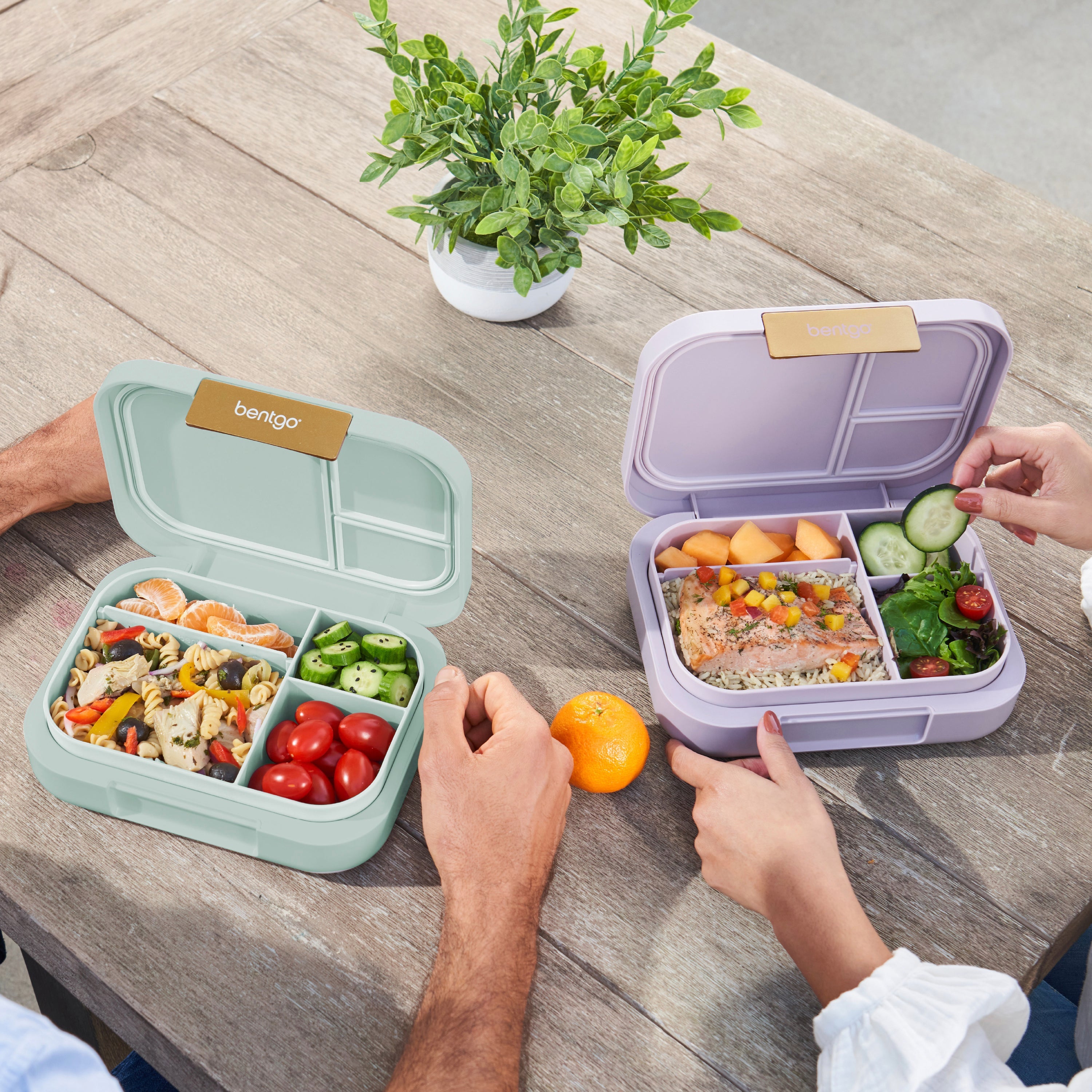 Bentgo Modern Lunch Box 2-Pack