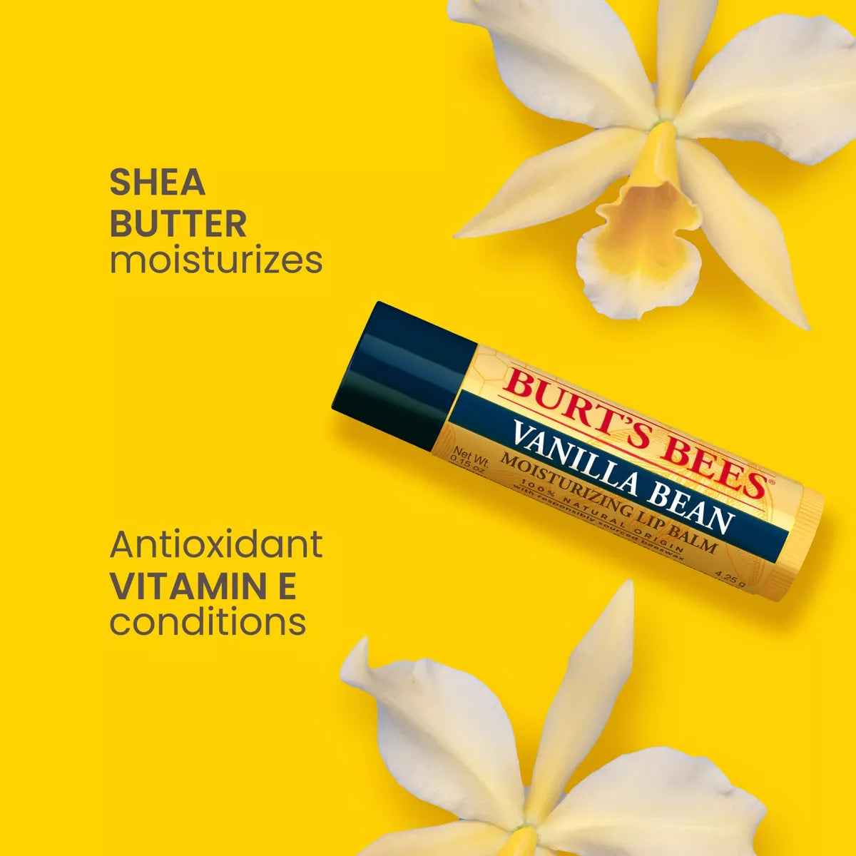 Lip Balm - Vanilla Bean - 2pk