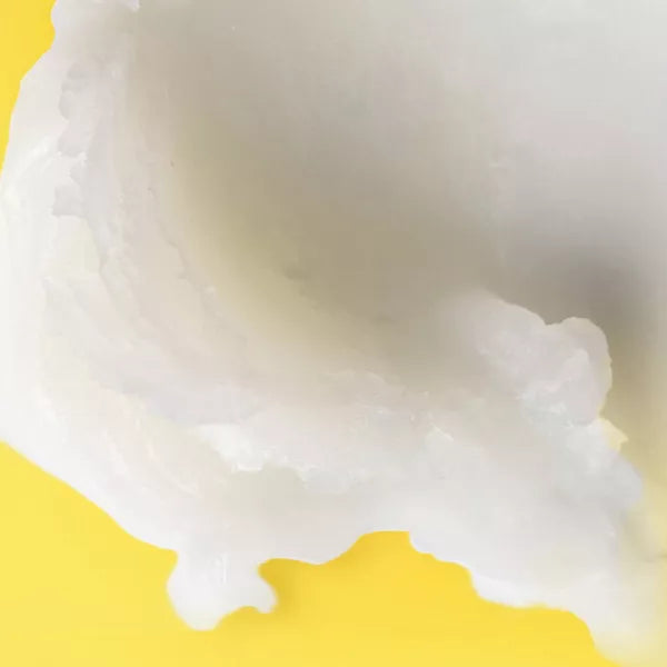 Shea + Coconut Oil Paper Tube Lip Balm