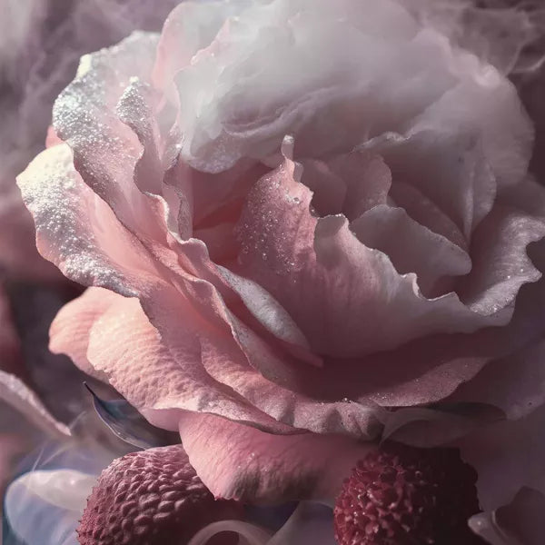 EDP Perfumes - Rosa Lina