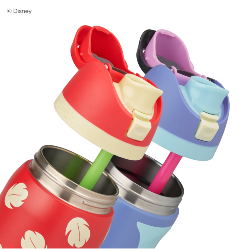 FreeSip 24oz Stainless Steel Water Bottle Disney Lilo & Stitch