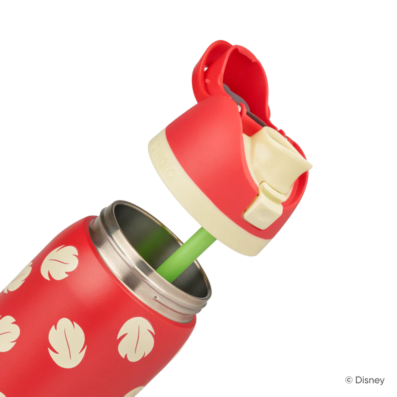 FreeSip 24oz Stainless Steel Water Bottle Disney Lilo & Stitch