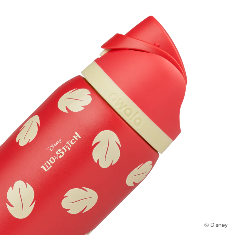 FreeSip 24oz Stainless Steel Water Bottle Disney Lilo & Stitch