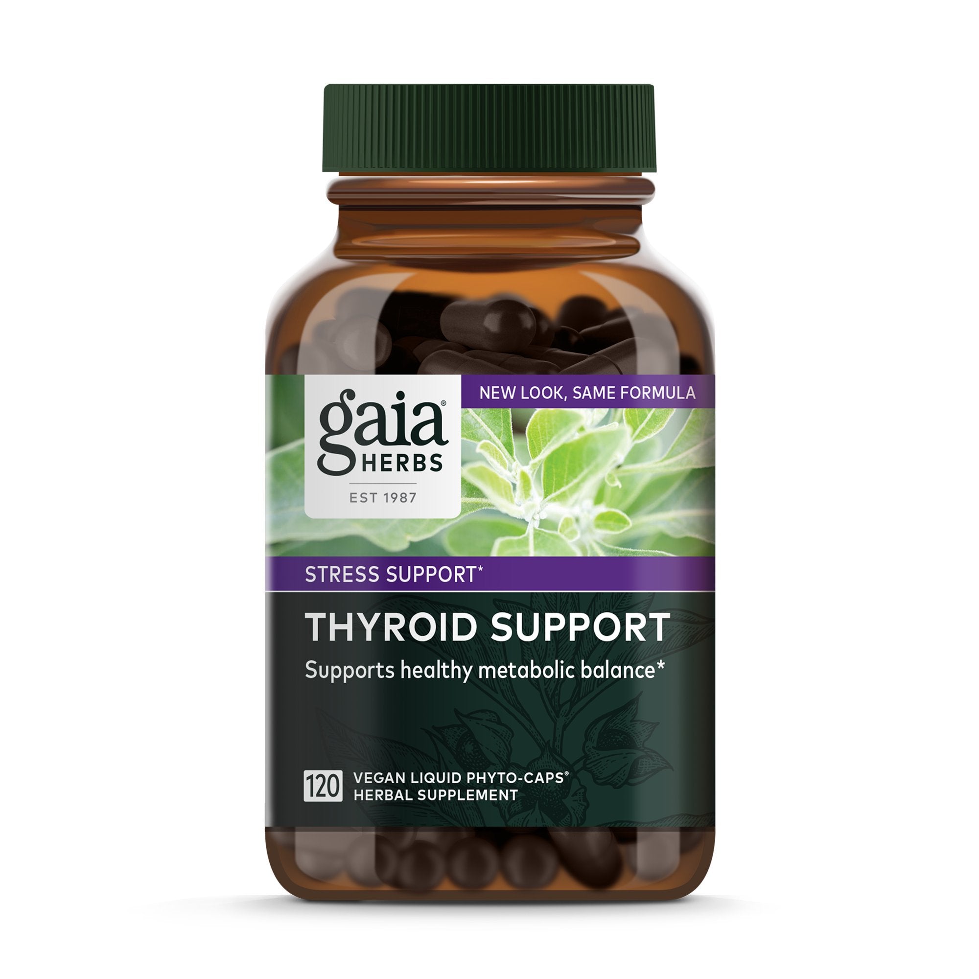 Thyroid Support