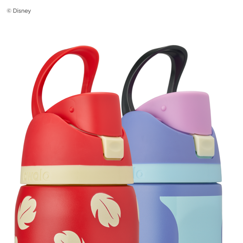 FreeSip 24oz Stainless Steel Water Bottle Disney Lilo & Stitch