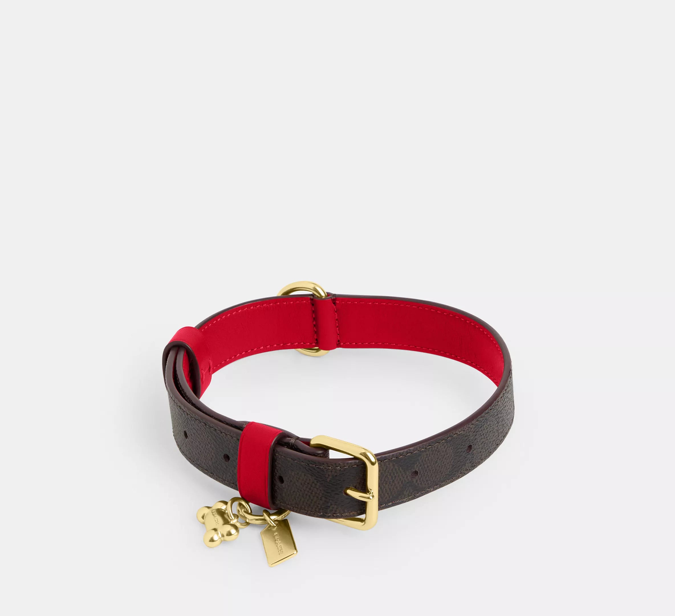 Boxed Large Pet Collar In Signature Canvas