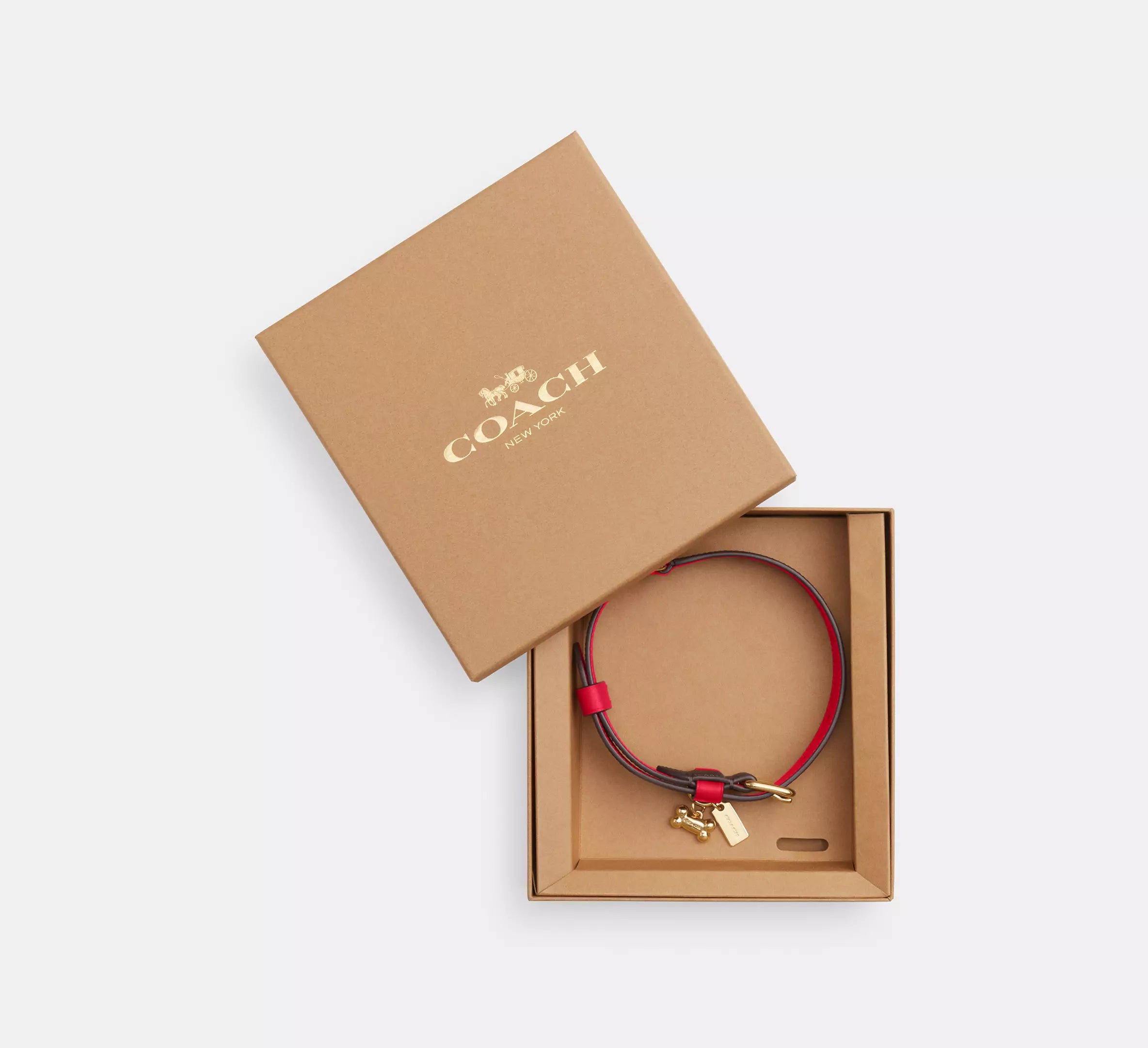 Boxed Large Pet Collar In Signature Canvas