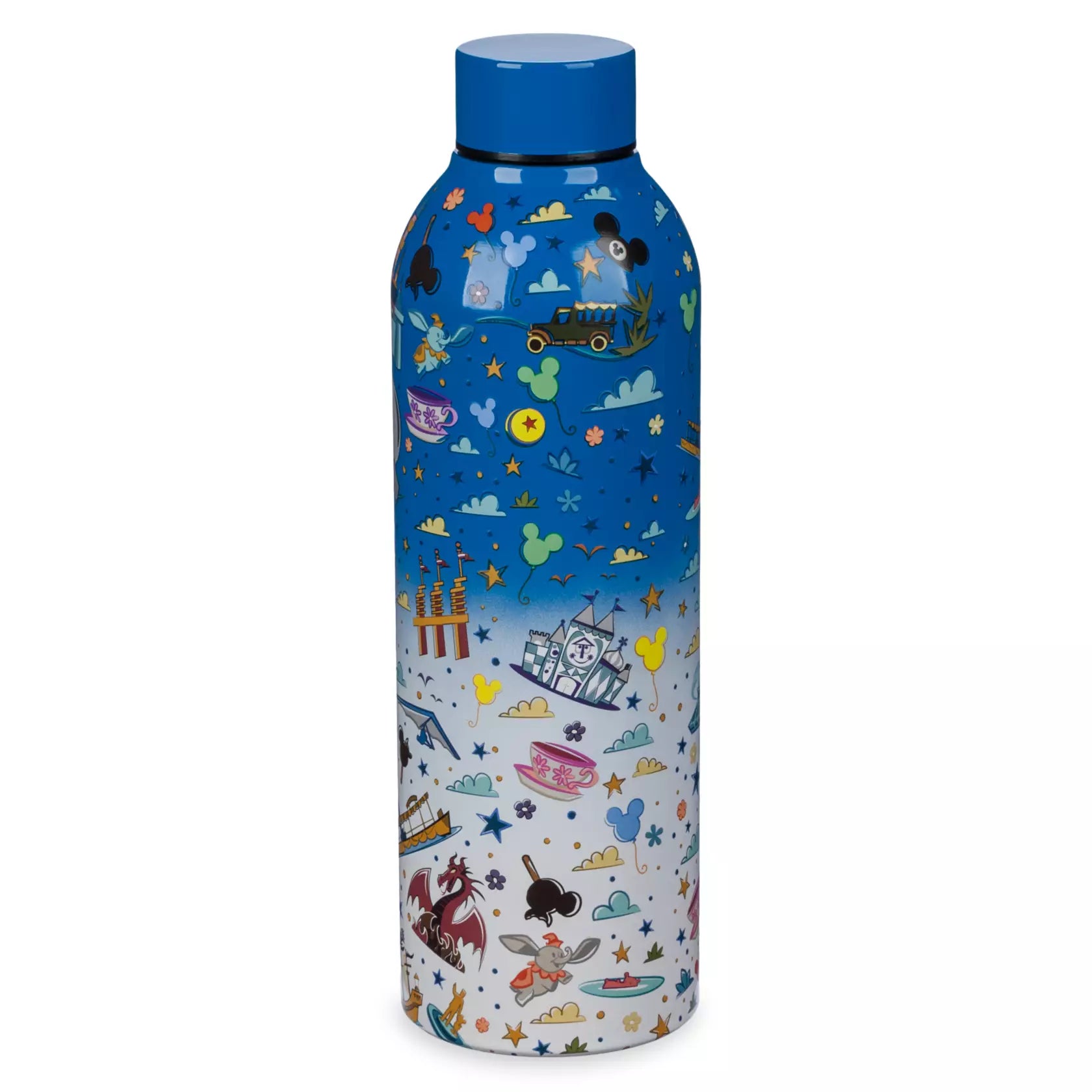 Disney Parks Stainless Steel Water Bottle