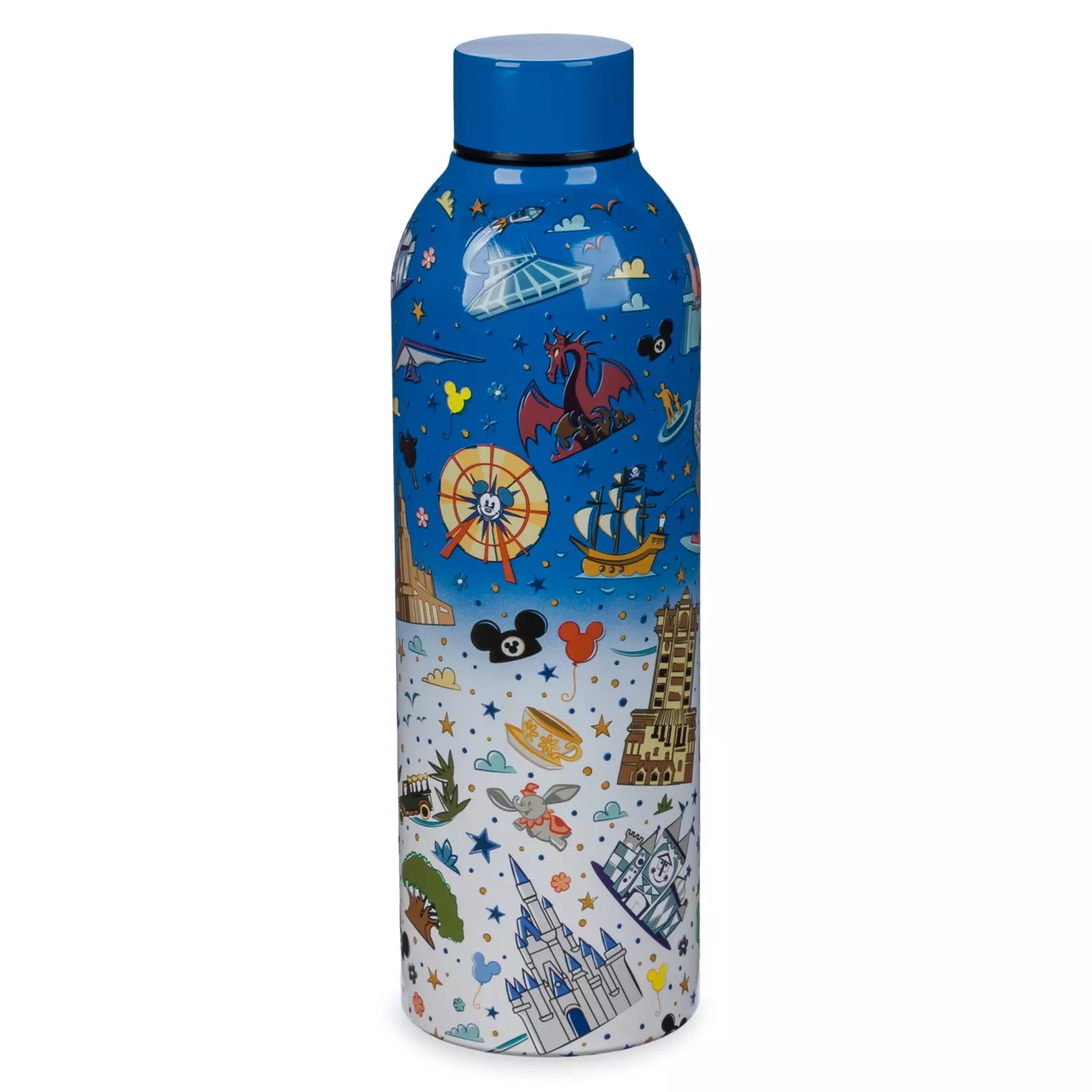 Disney Parks Stainless Steel Water Bottle