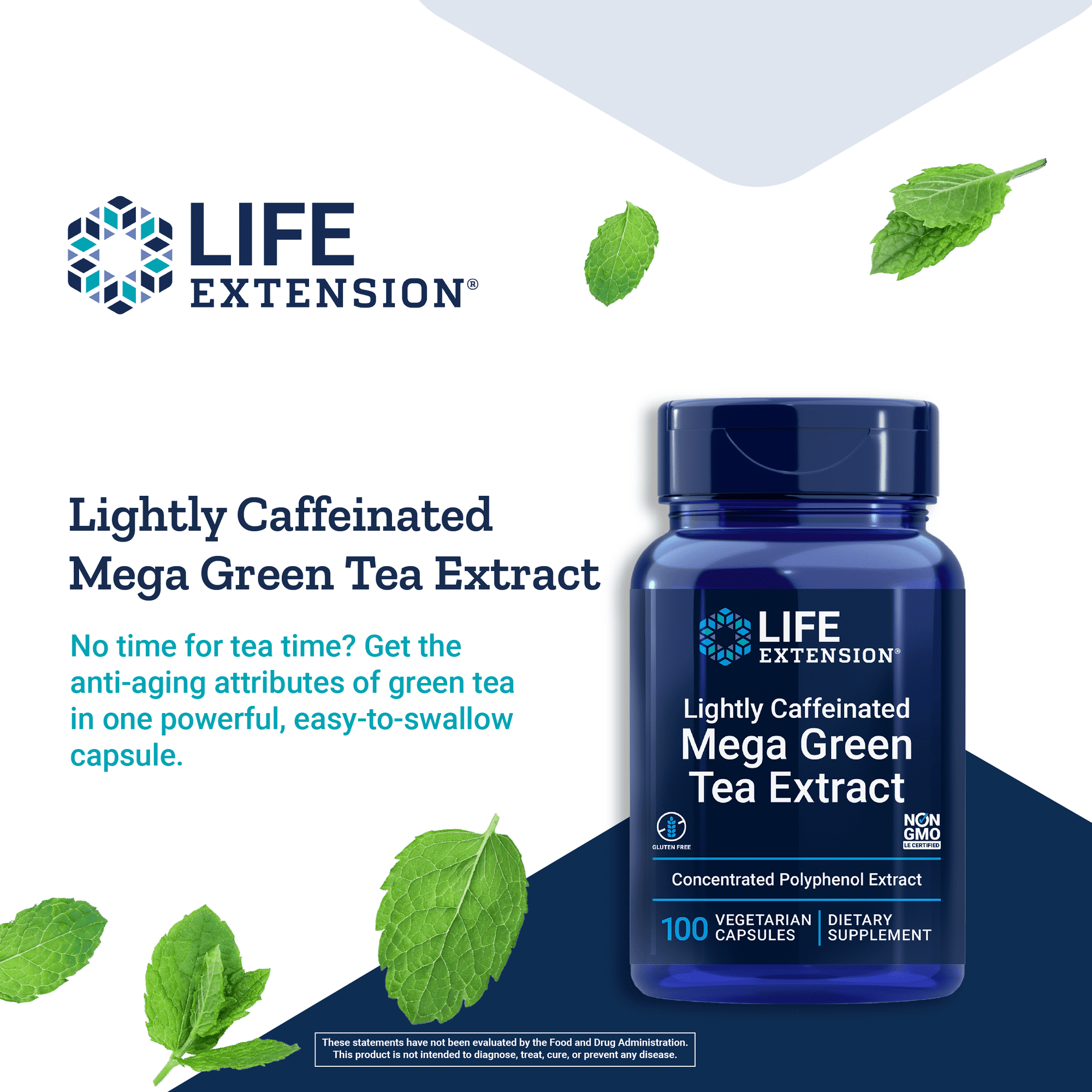 Lightly Caffeinated Mega Green Tea Extract