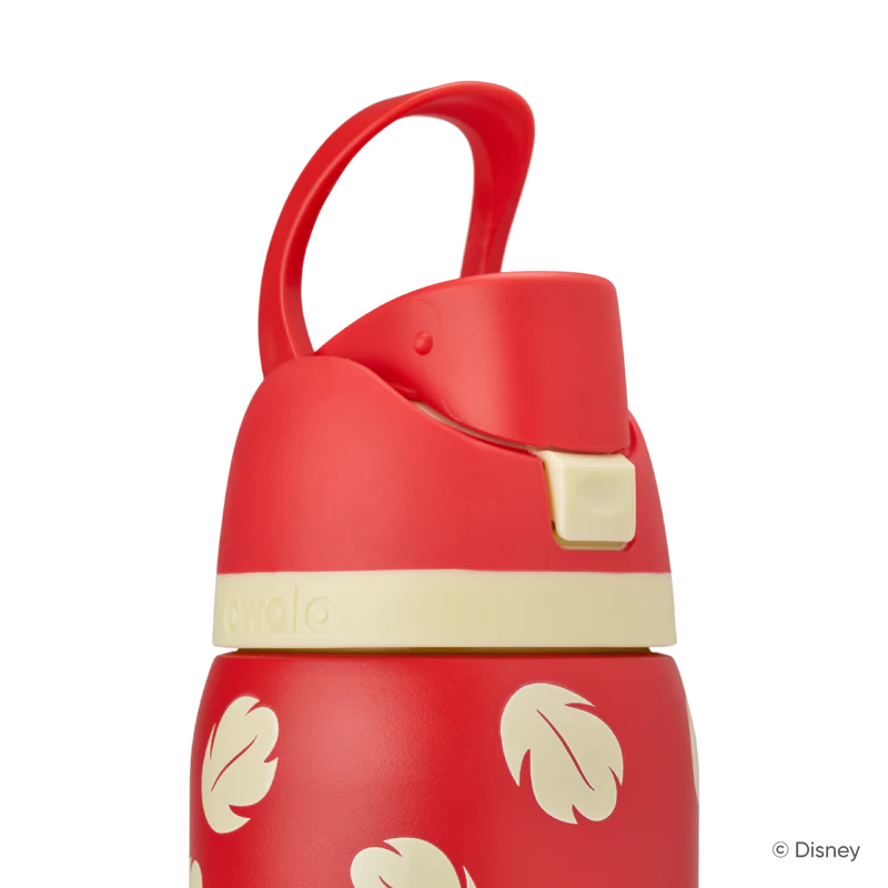 FreeSip 24oz Stainless Steel Water Bottle Disney Lilo & Stitch