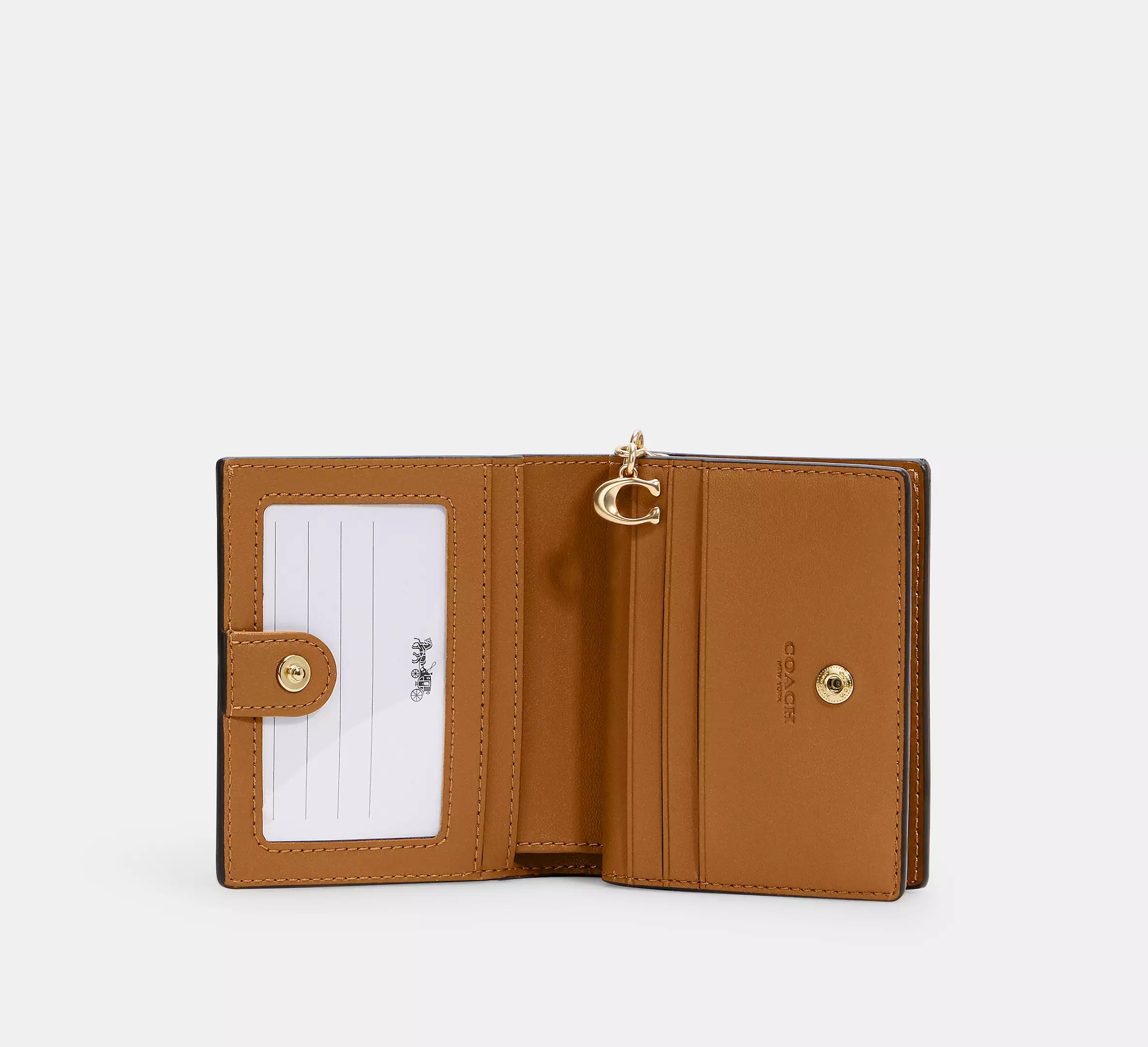 Snap Wallet In Signature Canvas