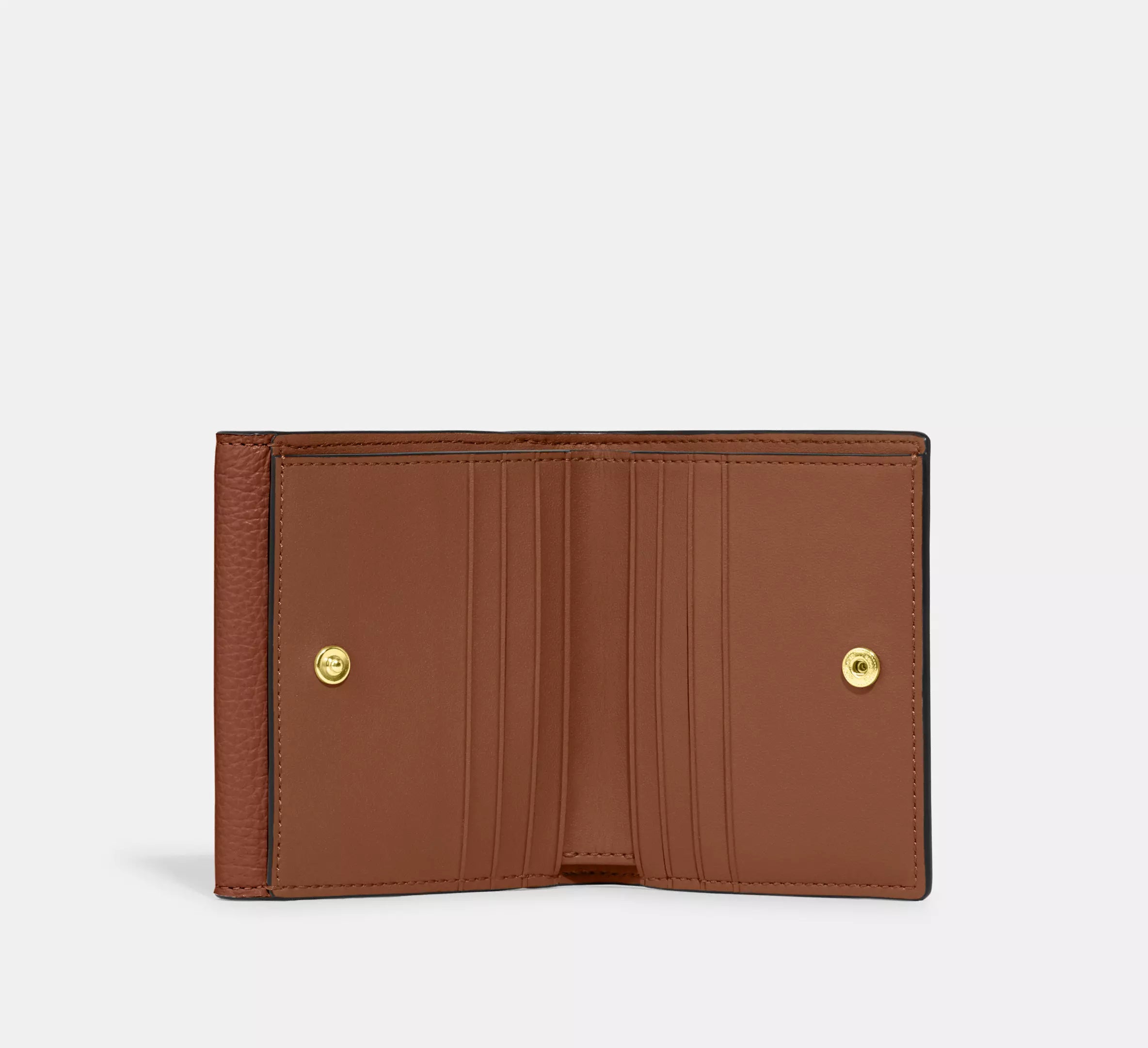 Small Morgan Wallet In Colorblock Signature Canvas