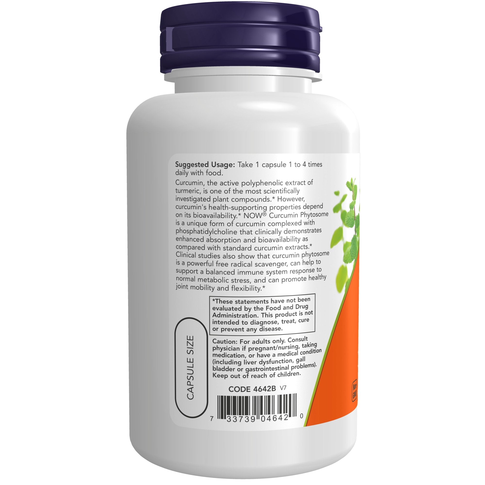 Turmeric Curcumin Phytosome